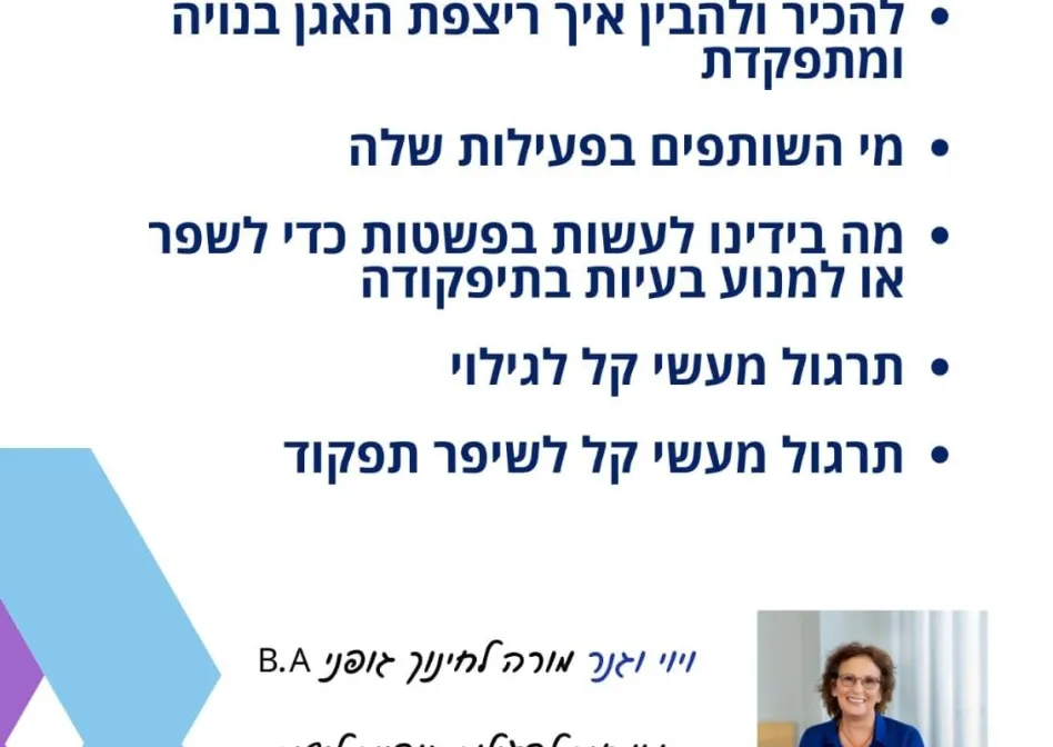 פלייר ויוי